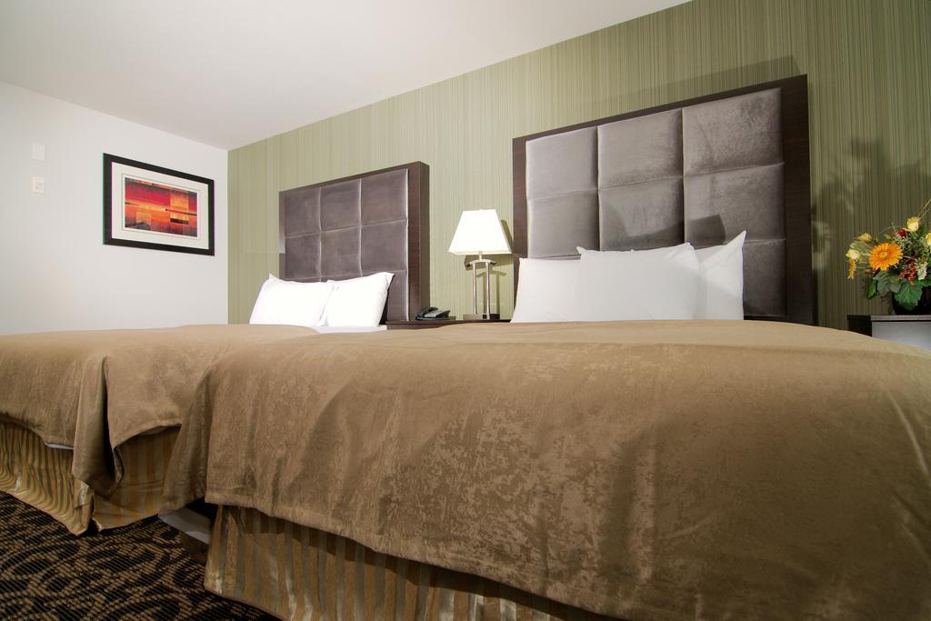 Paradise Inn And Suites Redwater Habitación foto